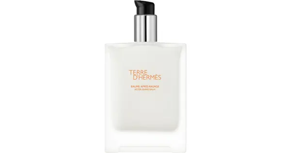 HERMÈS Terre d'Hermès men's perfume 100 ml