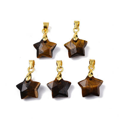 Natural Tiger Eye Charms