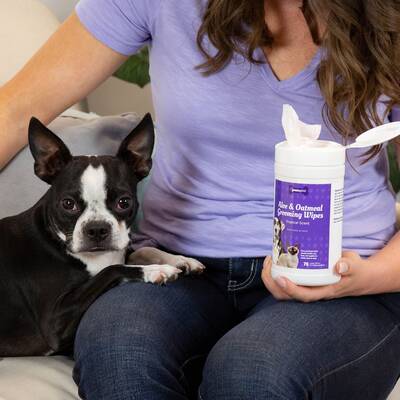 PawsGive Aloe and Oatmeal Grooming Wipes For Dogs and Cats | Pet Wipes