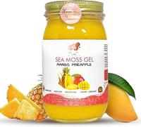 Healthy Herbs Sea Moss Gel – Sweet Mango Pineapple | Wildcrafted Jamaican St. Lucia Gold Seamoss | 90+ Minerals for Energy,...