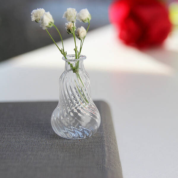 Transparent Miniature Glass Vase Bottles