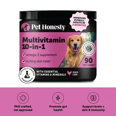 Pet Honesty Multivitamin 10-in-1 Daily Chews with Glucosamine, Omegas, and Probiotics for Dogs - Chicken Flavor Supplements f...
