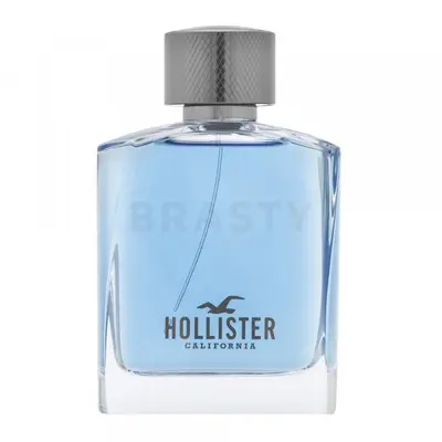 Hollister Wave Men EDT M 100 ml