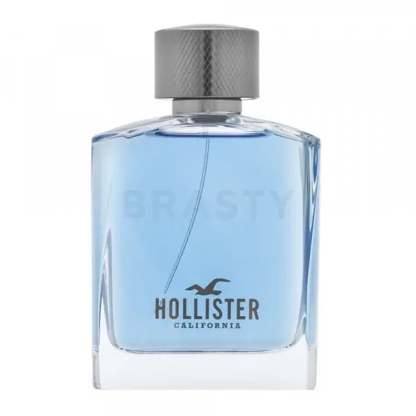 Hollister Wave Men EDT M 100 ml