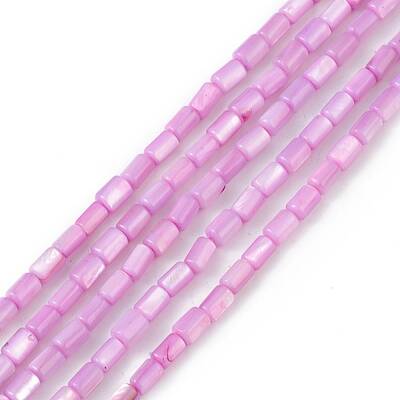 Natural Freshwater Shell Dyed Beads Strands
