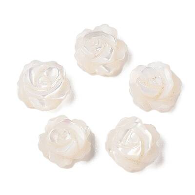 Natural White Shell Beads