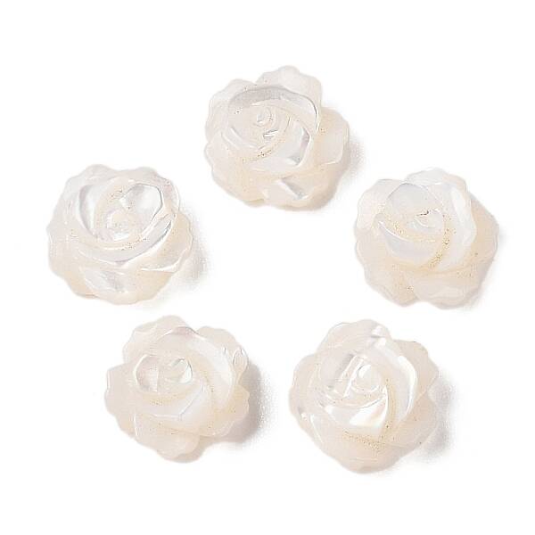 Natural White Shell Beads