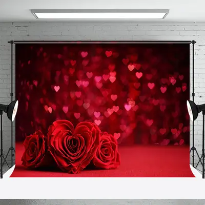 Rose Red Heart Bokeh Valentines Day Photo Backdrop - Aperturee