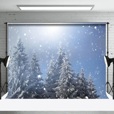 Big Snowy Pine Trees Under Bright Sky Photo Backdrop - Aperturee