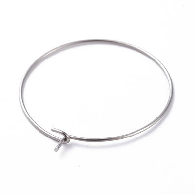 316 Surgical Stainless Steel Hoop Earring Findings