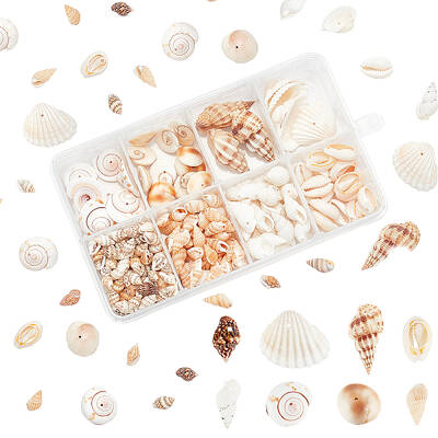 165G 8 Style Natural Spiral Shell Beads