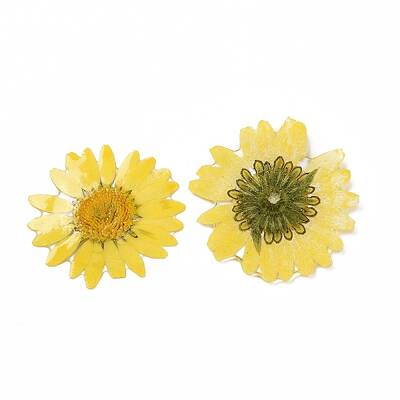 Opaque Resin Flower Cabochons