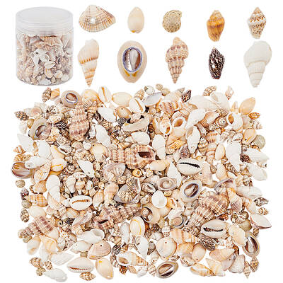 Natural Sea Shell Beads Kits