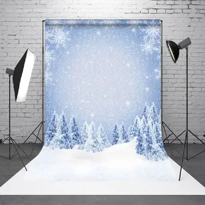 Aperturee Bokeh Silver Snowflake Cedar Winter Sweep Backdrop - Aperturee