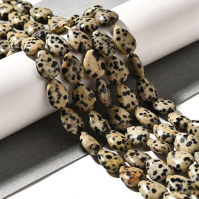 Natural Dalmatian Jasper Beads Strands