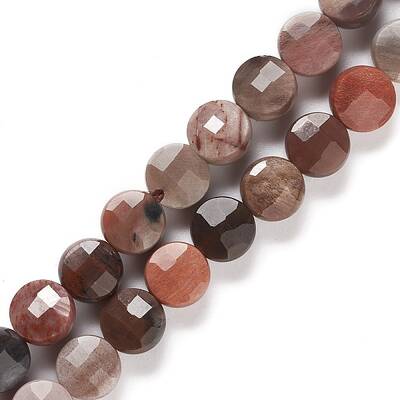 Natural Petrified Wood Beads Strands