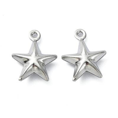 Non-Tarnish 304 Stainless Steel Charms