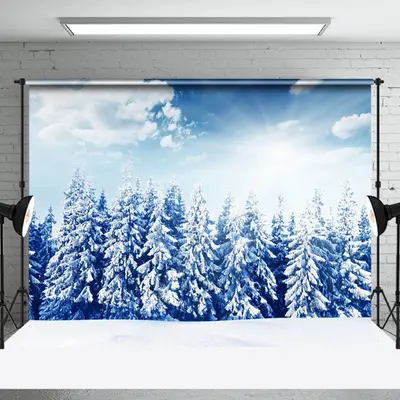 Aperturee Blue Sky Sunshine Winter Forest Photography Backdrop - Aperturee