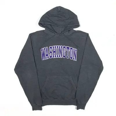CHAMPION Washington Sports Hoodie Grey Pullover USA Mens S