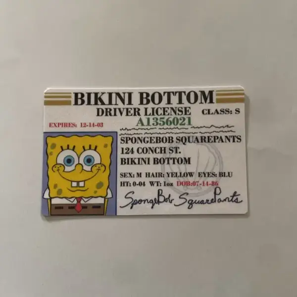 Bikini bottom card