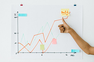 Important Guide to Beginner Stock Investing