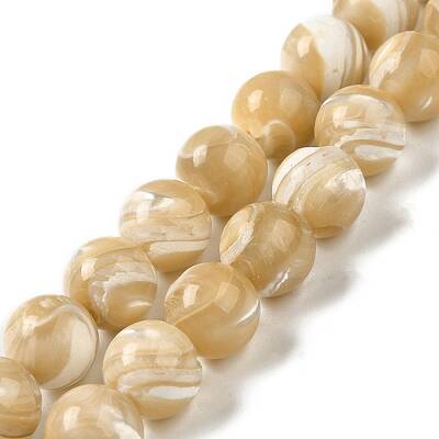 Natural Trochus Shell Beads Strands