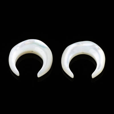 Natural White Shell Beads