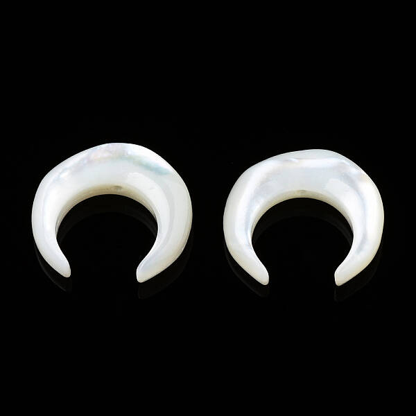 Natural White Shell Beads