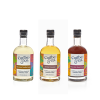 Coffee/Tea Lover's Syrup Bundle (No Coconut) for Coffee, Cocktails, Seltzer, and more! coffee syrups