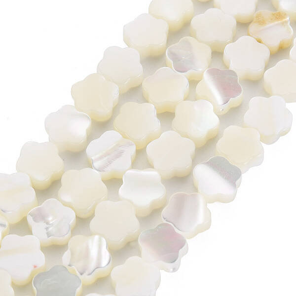 Natural Trochid Shell/Trochus Shell Beads Strands