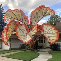【 Flowers Bloom all year Round 】100seeds of double-color taro and large-leaf Alocasia | Easily create a dreamy indoor bot...
