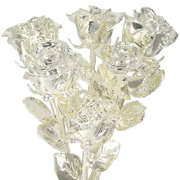 Silver Dipped Roses: Half Dozen 11  Rose Bouquet