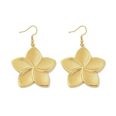 Ion Plating(IP) 304 Stainless Steel Dangle Earrings