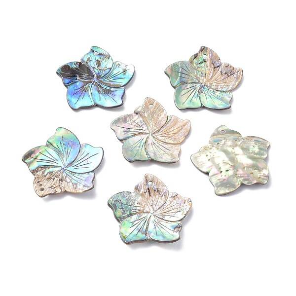Natural Abalone Shell/Paua Shell Pendants