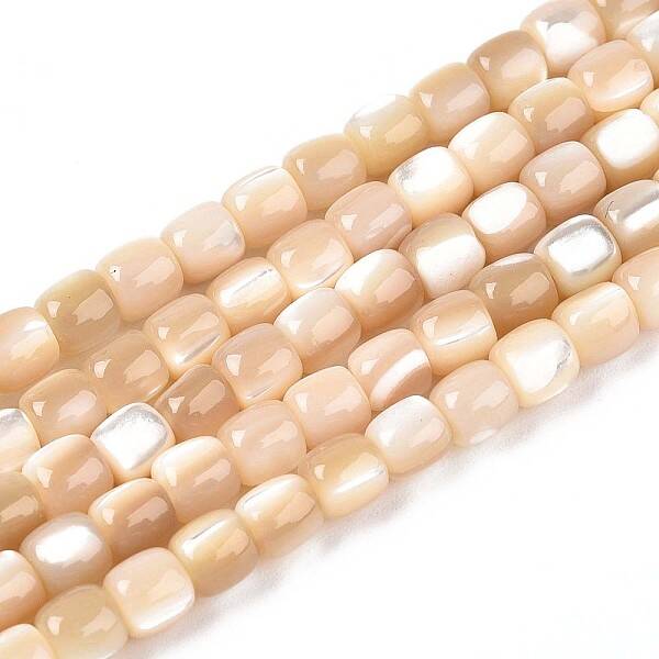 Natural Trochid Shell/Trochus Shell Beads Strands