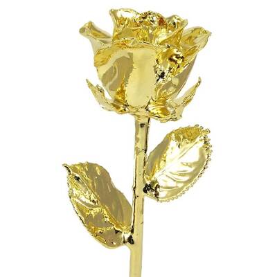11 24k Gold Dipped Rose
