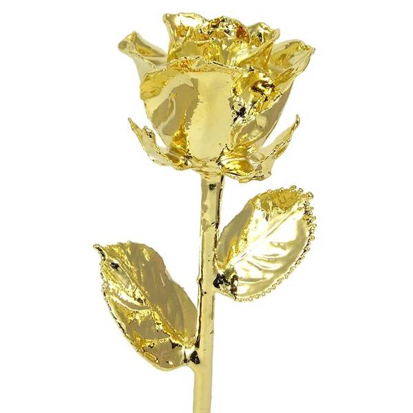 11 24k Gold Dipped Rose