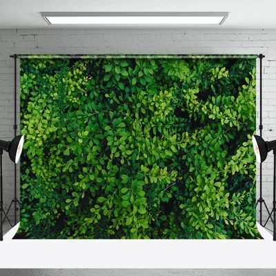 Aperturee Mysterious Dense Green Vegetation Forest Backdrop | Spring Picture Backdrop | Spring Backdrop Photography | Spring ...