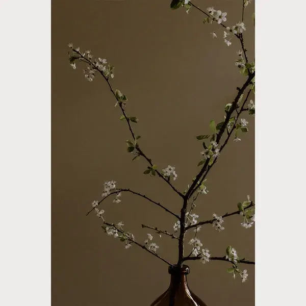 Branches and Blossoms - 4 | Size: 24