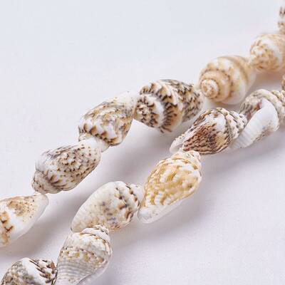 Natural Sea Shell Beads Strands