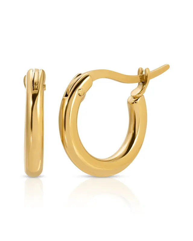Thick Small Hoop Earrings | Metal Color: Gold