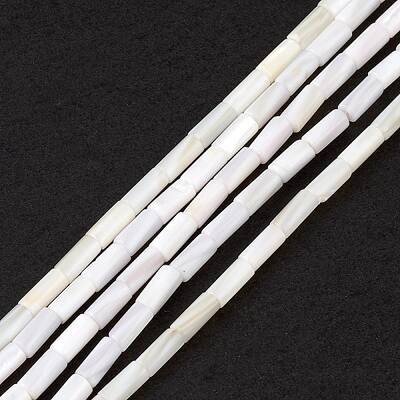 Natural Freshwater Shell Dyed Beads Strands
