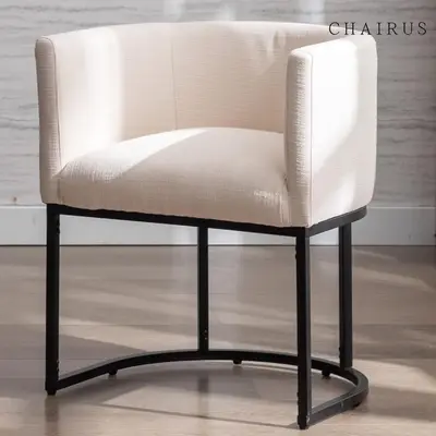 CHAIRUS Modern Dining Chairs, 20\