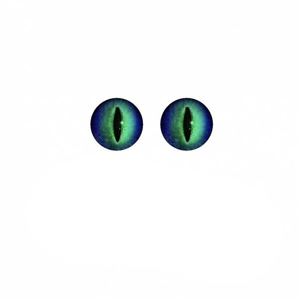 Plastic Dinosaur Safety Craft Eye