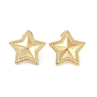 304 Stainless Steel Stud Earrings
