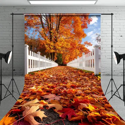 White Fence Falling Maple Leaves Autumn Backdrop