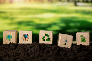 Foundations of Sustainable Development and the UN's SDGs