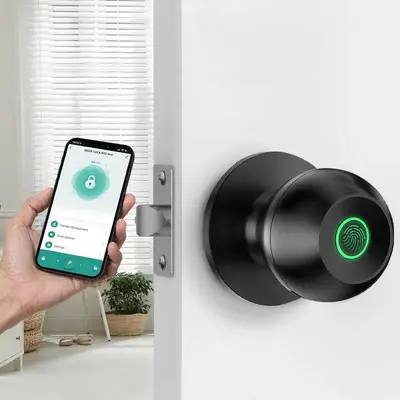 Spherical Smart Fingerprint Lock (1 Count), Room Door Handle Lock, Plug Type Smart Fingerprint Lock, Keyless Entry Door Lock,...