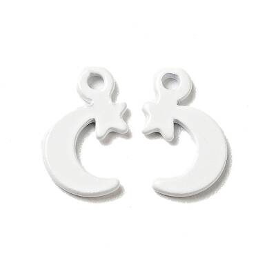 Spray Painted 201 Stainless Steel Charms