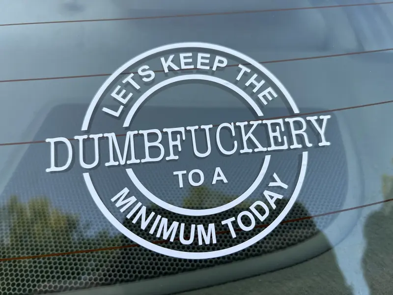 Lets Keep The Dumbfuckery To A Minimum Vinyl Decal -  2 PACK Sticker For Cars Vehicle Exterior Decoration